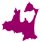 X